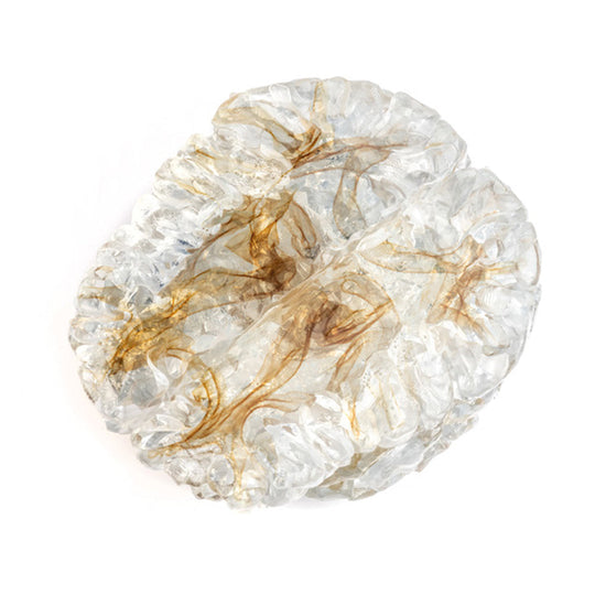 Somos® BioClear™ Translucent Biocompatible Resin - 10kg, 2-Pack (Neo)