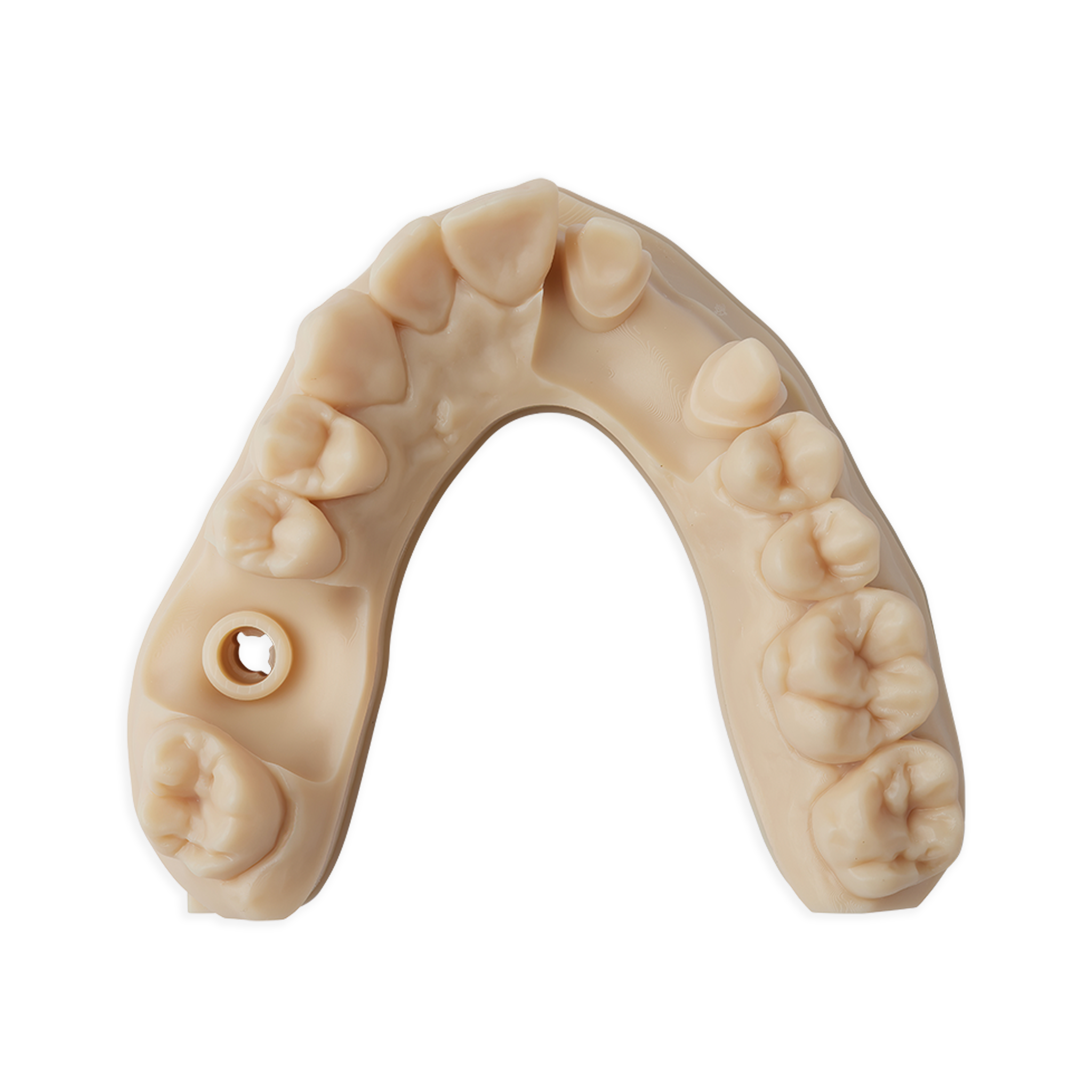 Formlabs Precision Model Dental Resin V1 - 3D Printed Dental Model